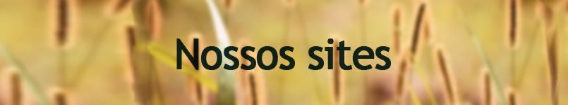 Nossos Sites